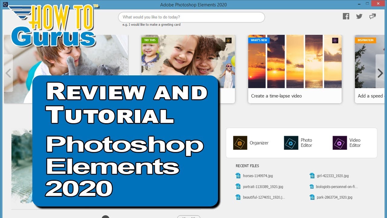 Adobe photoshop elements 2020 book